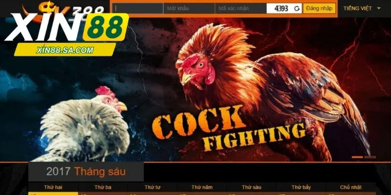 Thông tin khái quát chung về sảnh cược SV388 tại Xin88